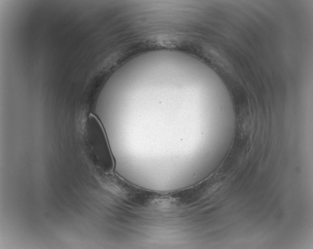 X0000071910595200607212044