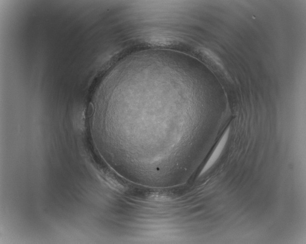 X0000071910596200607212044