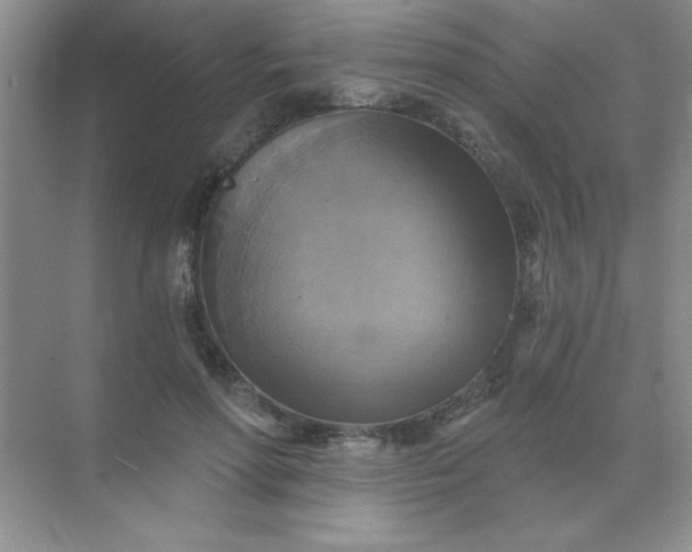 X0000071910598200607212044