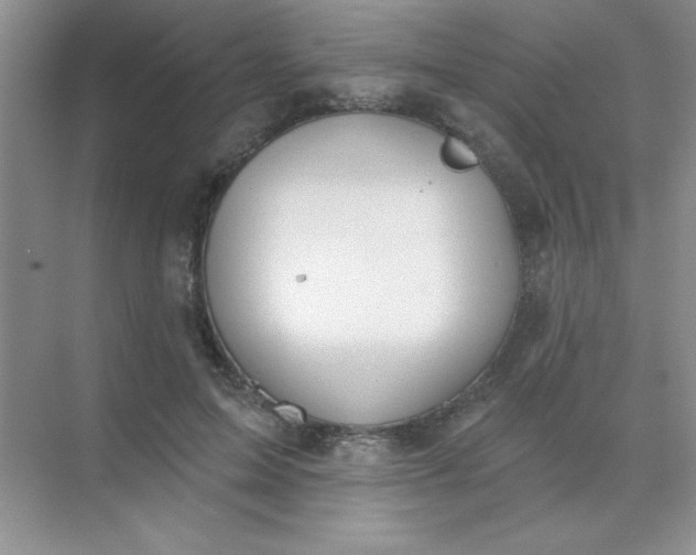 X0000071910599200607212044