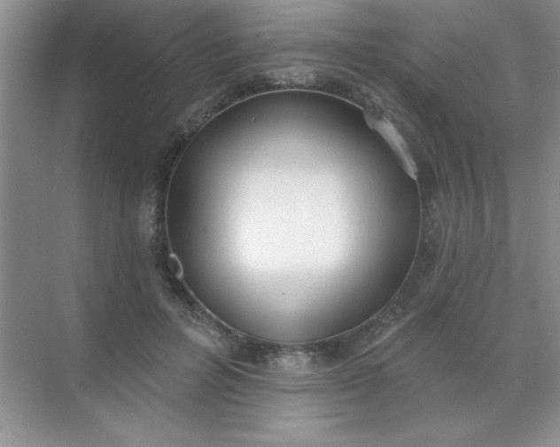 X0000071910600200607212044