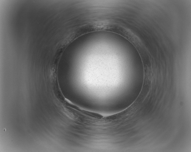 X0000071910601200607212044