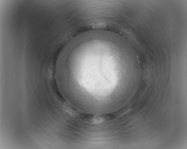 X0000071910604200607212044