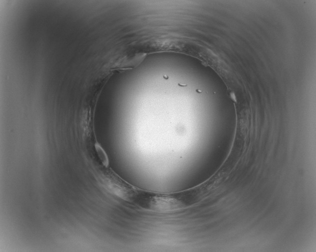 X0000071910605200607212044