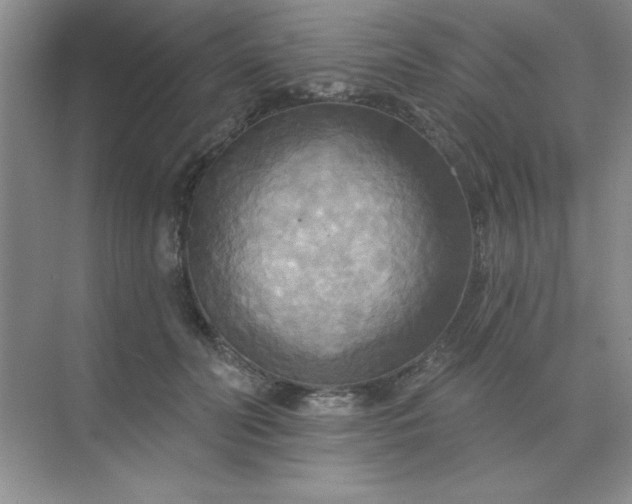 X0000071910606200607212044