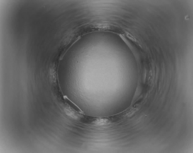 X0000071910609200607212044