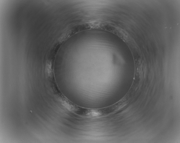 X0000071910610200607212044