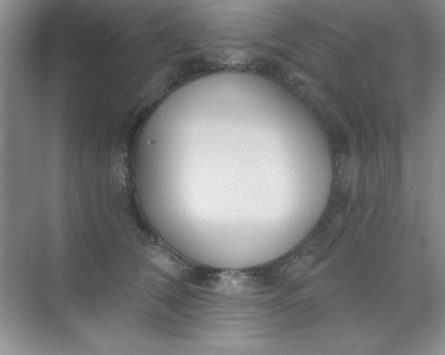 X0000071910612200607212044