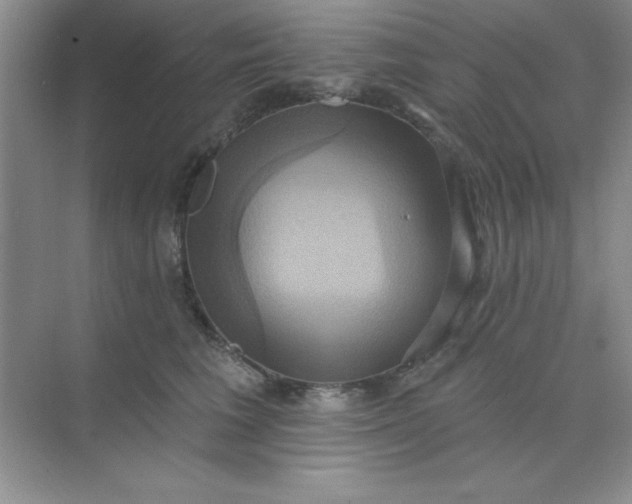 X0000071910613200607212044