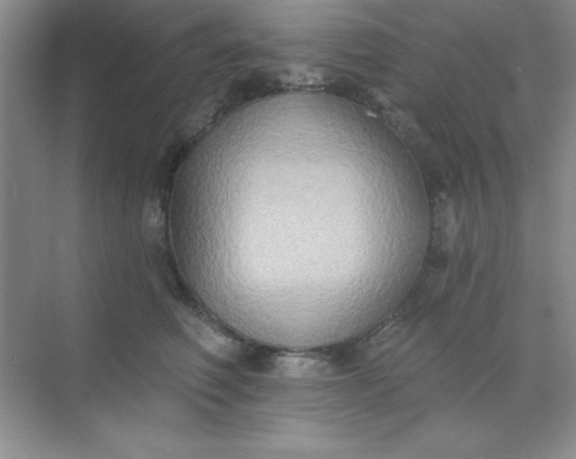 X0000071910614200607212044