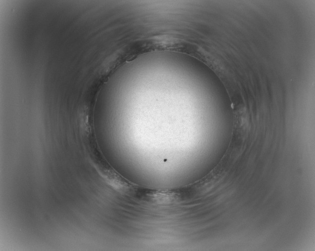 X0000071910615200607212044