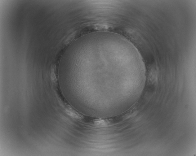 X0000071910616200607212044