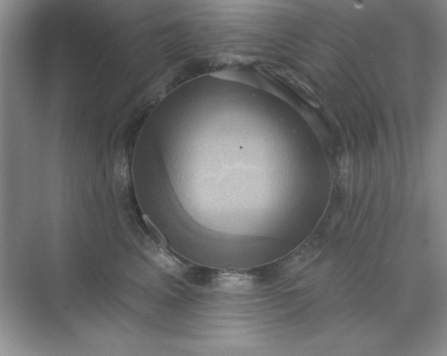 X0000071910617200607212044