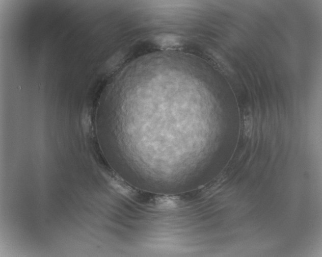 X0000071910618200607212044