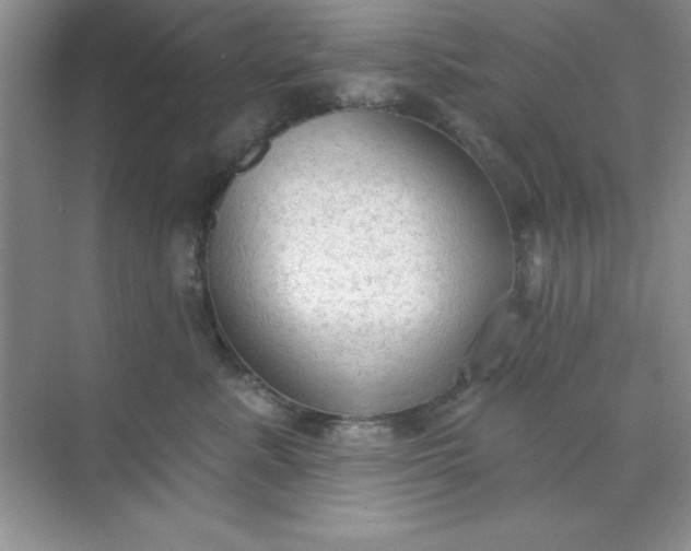 X0000071910619200607212044