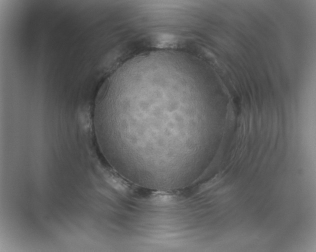 X0000071910620200607212044