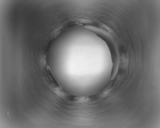 X0000071910621200607212044