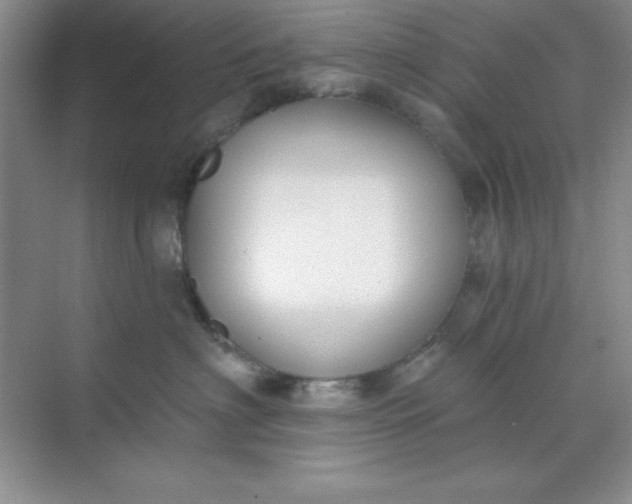 X0000071910622200607212044