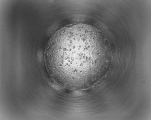 X0000071910623200607212044