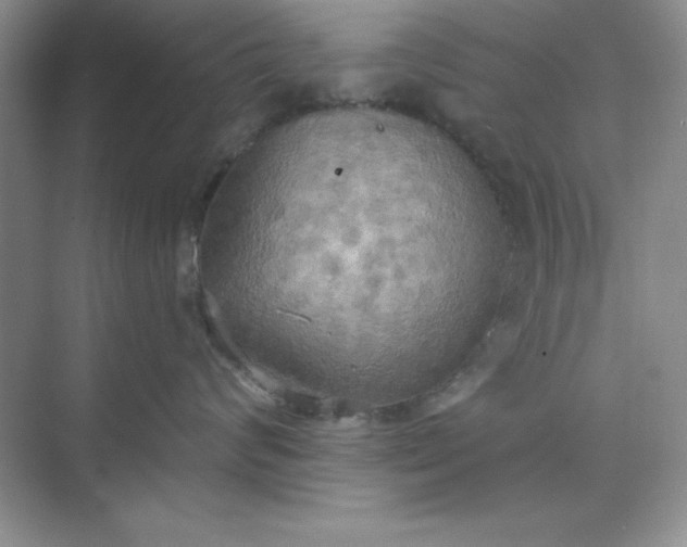 X0000071910624200607212044