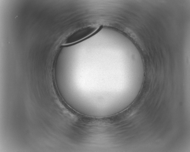 X0000071910625200607212043