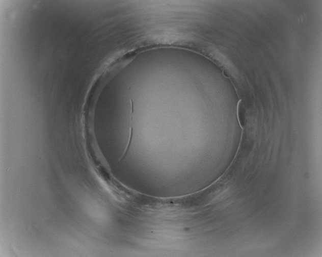 X0000071910626200607212043