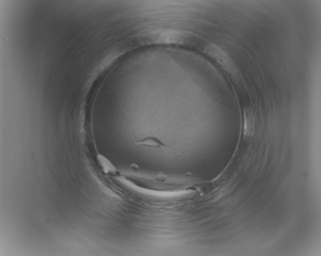 X0000071910627200607212043