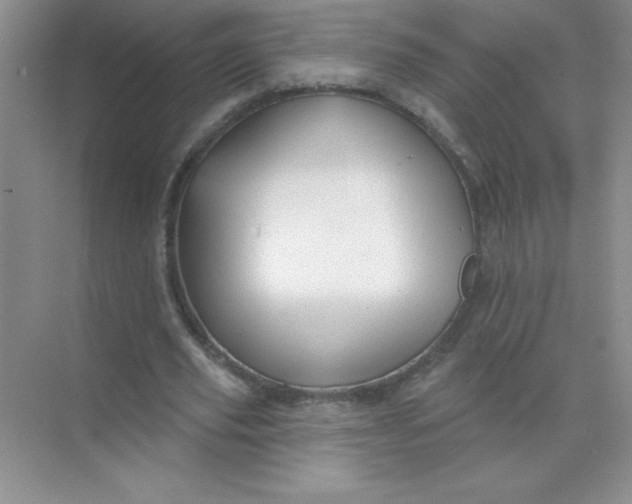 X0000071910629200607212043