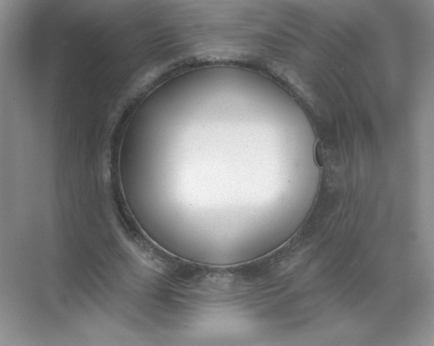 X0000071910631200607212043