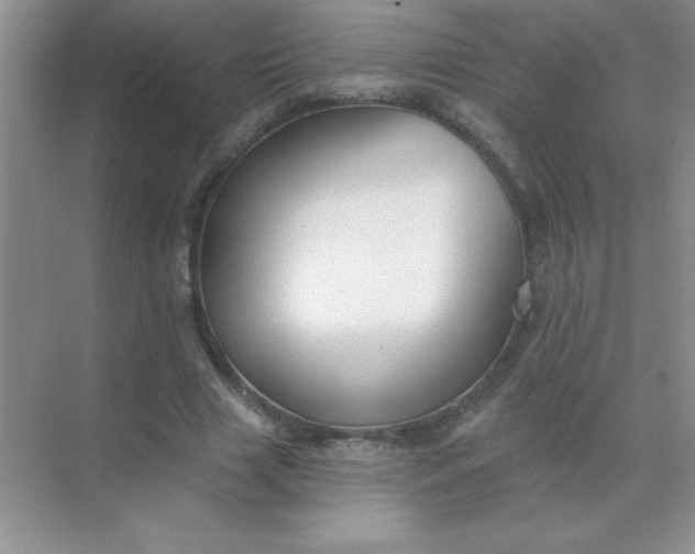 X0000071910633200607212043