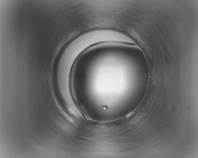 X0000071910634200607212043