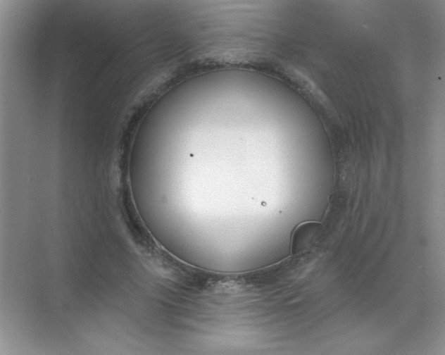 X0000071910635200607212043