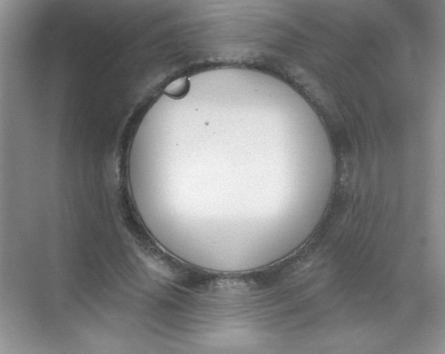 X0000071910636200607212043