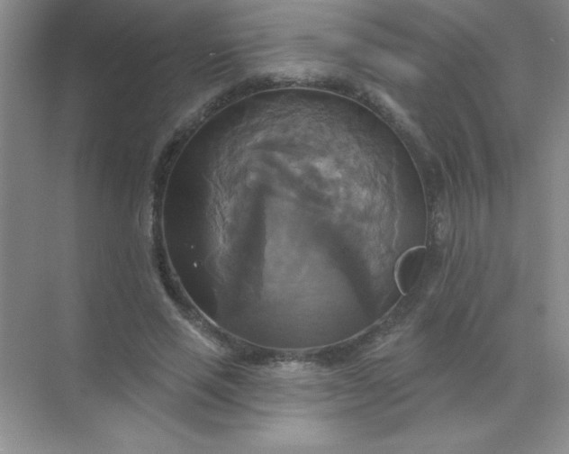 X0000071910637200607212043