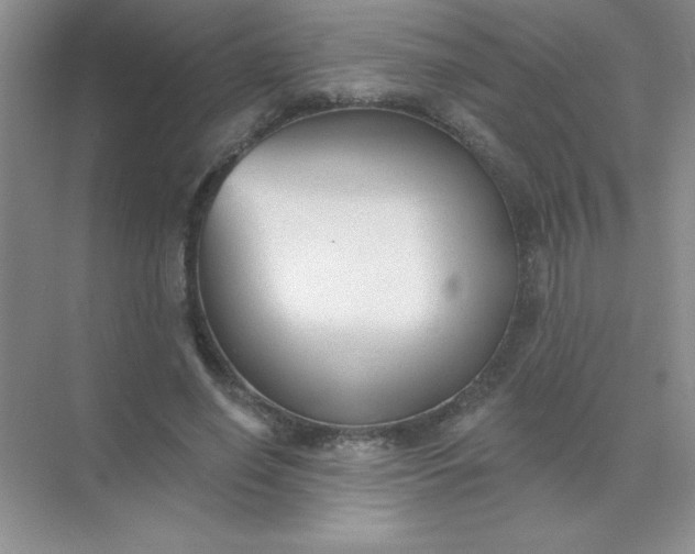 X0000071910638200607212043