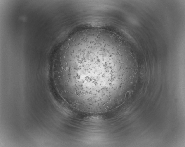 X0000071910639200607212043