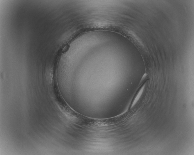 X0000071910640200607212043