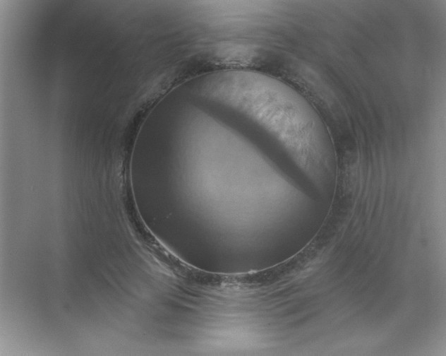 X0000071910641200607212043