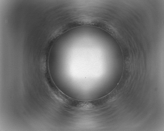 X0000071910642200607212043