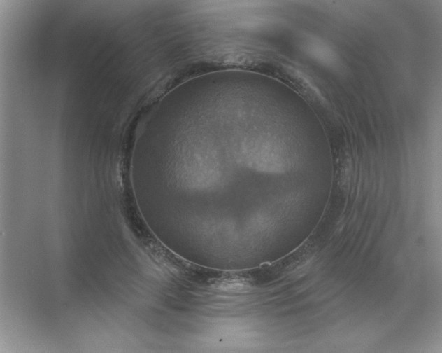 X0000071910643200607212043