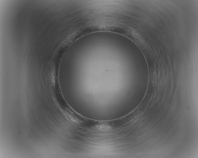 X0000071910644200607212043