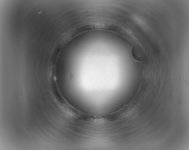 X0000071910645200607212043