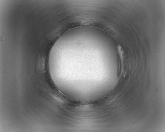 X0000071910646200607212043