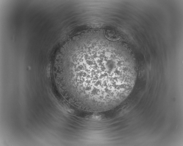 X0000071910647200607212043