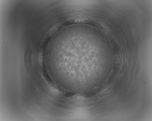 X0000071910648200607212043