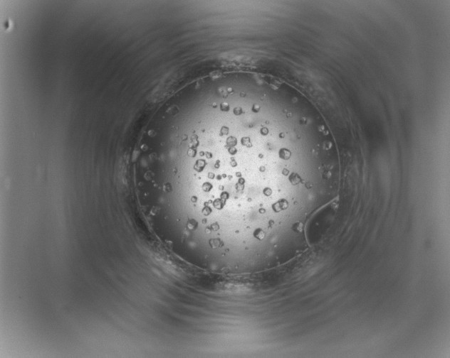 X0000071910649200607212043