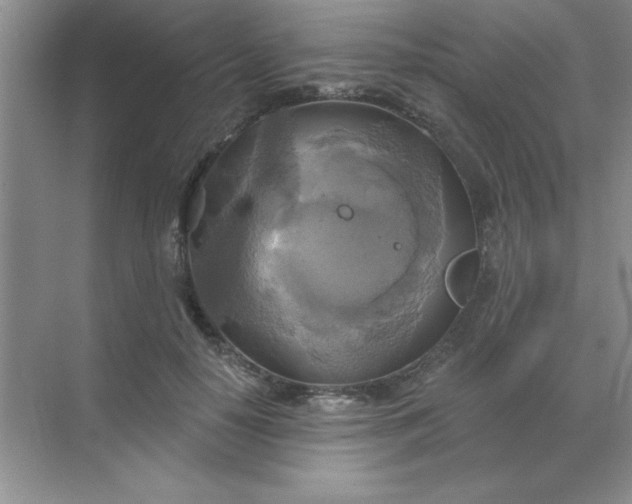 X0000071910650200607212043