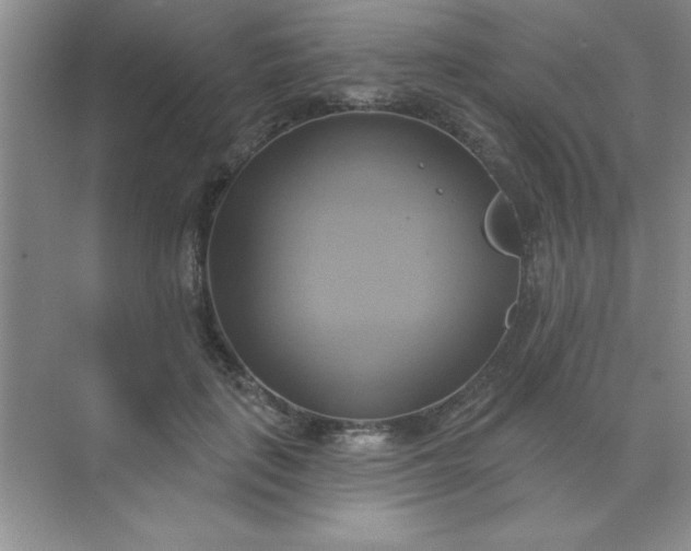 X0000071910651200607212043