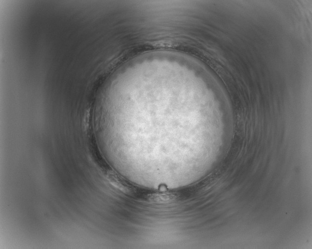 X0000071910652200607212043