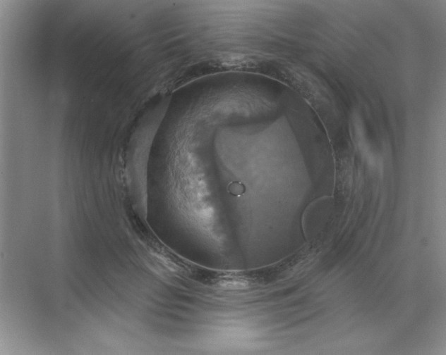 X0000071910653200607212043